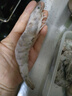 鮮享純【青島蝦】超大蝦新鮮大蝦冷凍鮮活青島大蝦批發(fā)整箱基圍蝦青蝦 15-17厘米鮮蝦速凍 3斤(凈重) 曬單實(shí)拍圖