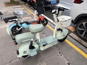 臺鈴電動自行車【國家補(bǔ)貼】小錦鯉50公里長續(xù)航電動車鉛酸電池48V13Ah電瓶車新國標(biāo)碧波綠 曬單實(shí)拍圖