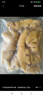 和蓉匯香鹵肥腸凈重1斤 火鍋食材鹵味熟食半成品下酒菜肥腸豬大腸生鮮 曬單實(shí)拍圖