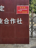 蝎子活全蝎中藥材沂蒙山活體蝎王十足全蝎活蝎子泡酒油炸煲湯全蟲(chóng) 50只特大公蝎王6到7厘米送5防死 曬單實(shí)拍圖