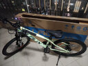 雷克斯LAUX哪吒200plus山地車(chē)成人學(xué)生代步通勤鋁合金24速純油碟 牛油果綠（標準版） 24速 24英寸 曬單實(shí)拍圖