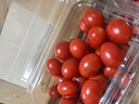【水果菜】爆汁車(chē)厘小番茄1.25kg 曬單實(shí)拍圖