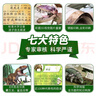 恐龍百科全書全套8冊 恐龍書籍兒童繪本3-6歲幼兒園閱讀帶拼音 恐龍繪本漫畫恐龍侏羅紀公園小學生科普百科恐龍世界大全睡前故事書 恐龍大百科全書 全套8冊 曬單實拍圖