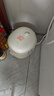 小熊（Bear）電飯煲 1-2人家用小型多功能電飯鍋 宿舍小容量迷你煮飯煮泡面壓力米飯鍋1.2升 DFB-F12Z2 曬單實(shí)拍圖