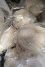泰國進(jìn)口奶香椰皇丹嫩沙多香水椰煲雞湯老椰子新鮮水果-佳堯 泰國椰皇9個(gè)裝高性?xún)r(jià)比送軟刀 特大果500g-600g 曬單實(shí)拍圖