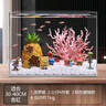 阿拖（ATUO）海綿寶寶珊瑚造景躲避屋卡通公仔菠蘿屋魚(yú)缸小擺件水族箱裝飾全套 曬單實(shí)拍圖