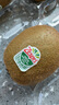 佳沛（zespri）新西蘭綠奇異果 8個裝單果重約123-135g 源頭直發(fā)一件包郵 曬單實(shí)拍圖