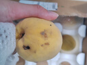 京覓黃桃水果蒙陰新鮮桃子 凈重3斤 單果100g起 源頭直發(fā) 曬單實拍圖