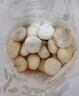 頭廚老面小籠包共1000g約40個(gè)兒童早餐食品半成品嵊州風(fēng)味包子 曬單實(shí)拍圖