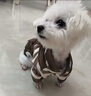 阿莫爾狗狗衣服秋冬款保暖卡通玩偶泰迪比熊貴賓雙層棉衣加厚寵物四腳衣 棕色小熊【可牽引加絨厚】 S（建議3-5斤 參考胸圍背長(cháng)） 曬單實(shí)拍圖