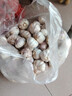 精選新鮮山東大蒜干蒜多瓣蒜頭蔬菜批發(fā)產(chǎn)地直發(fā)大蒜頭 優(yōu)選 5斤 (果徑≥3.5cm) 曬單實拍圖