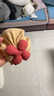 貝娜茜嬰兒帽子秋冬季寶寶嬰幼兒可愛(ài)胎帽男女護囟門(mén)帽印度帽新生兒秋天 小熊貓-米色 0-15個(gè)月（37-47CM） 曬單實(shí)拍圖