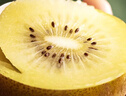 佳沛（zespri）新西蘭  陽光金奇異果18粒超大果原箱單果重約173-204g 獼猴桃 曬單實拍圖