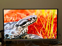 飛利浦EVNIA弈威 27英寸4K240Hz 硬件護(hù)眼QD-OLED 色準(zhǔn)＜1 滿血DP2.1光效音響 國補(bǔ) 電競顯示器27M2N8800 曬單實(shí)拍圖