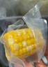 京地達云南水果玉米段 凈重4斤單果100g+ 0添加即食低脂甜玉米 源頭直發(fā) 曬單實(shí)拍圖
