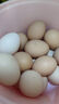京喜加農(nóng)家新鮮散養(yǎng)雞蛋單枚40g正負(fù)5g谷飼蛋初生蛋溏心蛋早餐生鮮買菜 10枚 曬單實(shí)拍圖