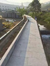 天然大理石路沿石路邊石花崗巖芝麻灰芝麻白芝麻灰路牙石路緣石材 70x10x10cm(不含運(yùn)費(fèi)） 曬單實(shí)拍圖