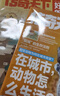 好奇號雜志2025年7月 每月3冊美國Cricket Media版權合作科學(xué)少兒科普期刊雜志 曬單實(shí)拍圖