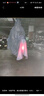 祎湸雨衣電動(dòng)車(chē)雙人防暴雨男女摩托電瓶車(chē)專(zhuān)用騎行長(cháng)款連體加大厚雨披 【加大遮腳+防暴雨】雙人雨衣 曬單實(shí)拍圖
