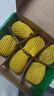 佳沛（zespri）新西蘭陽(yáng)光金奇異果6個(gè)裝單果約86-103g源頭直發(fā) 曬單實(shí)拍圖