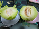 園緋山東玉菇甜瓜軟糯冰淇淋瓜香瓜孕婦新鮮當季水果整箱 優(yōu)選3斤冰淇淋甜瓜 曬單實(shí)拍圖