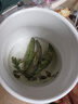 甜菊葉 甜葉菊代糖低糖甜味散裝苷干葉另售花茶花草茶葉 甜葉菊100g 曬單實拍圖