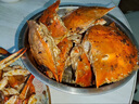 舟山梭子蟹鮮活特大野生大螃蟹新鮮冷凍海鮮水產(chǎn)海蟹飛蟹白蟹順豐 9兩以上/只【5斤凈重 超大肥美】 曬單實(shí)拍圖