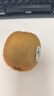 佳沛（zespri）綠奇異果 優(yōu)選大果12粒單果約113-135g  水果禮盒 獼猴桃 曬單實拍圖