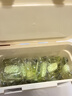 綻家洗衣凝珠（花梨）12g*23顆 三腔抑菌除螨濃縮洗衣液持久留香 曬單實拍圖