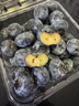 山姆大叔云南L25花香藍(lán)莓【順豐閃送-次日達(dá)多地】藍(lán)莓水果禮盒中秋禮品 【金獎(jiǎng)】特級(jí)果（單果16-18mm） 【6盒裝｜爆款推薦80%選擇】100g/盒 曬單實(shí)拍圖