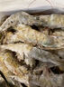 GUO LIAN國聯(lián)生鮮鹽凍大蝦 去冰凈重3斤 73-90只 盒裝活凍 海鮮海產(chǎn)冷凍蝦 曬單實(shí)拍圖