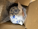 兮元記青花汝窯大西施茶壺泡茶單壺單個(gè)高檔家用滿花描金琺瑯彩功夫茶具 （325ml）繁花米黃汝窯大西施壺 曬單實(shí)拍圖