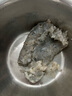 北海灣 厄瓜多爾白蝦 大蝦鮮活速凍鹽凍南美白蝦基圍蝦海蝦對蝦海鮮批發(fā) 【特大蝦 15-18cm】 3斤(凈重) 曬單實(shí)拍圖