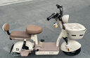 臺鈴電動自行車【國家補貼】小錦鯉50公里長續(xù)航電動車鉛酸電池48V13Ah電瓶車新國標杏仁棕 曬單實拍圖