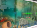 Aqua Zonic 魚(yú)缸殺菌燈 仟湖紫外線(xiàn)消毒器 除藻潛水滅菌水族魚(yú)池凈水專(zhuān)用11W 曬單實(shí)拍圖
