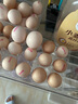無(wú)抗鮮雞蛋 谷物喂養(yǎng)鮮雞蛋 單枚50g-60g 早餐食材 蛋香味十足 30枚裝 曬單實(shí)拍圖