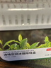 京東京造 家衛(wèi)士ice冰箱除味劑活性炭除味冰箱除味盒 清新綠茶 180g*3 曬單實拍圖