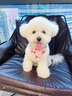 puppytie狗狗口水巾寵物圍兜狗圍巾項圈幼犬三角巾可拆卸可牽引外出飾品 芭蕾粉 S:1.5*20-35cm 曬單實(shí)拍圖
