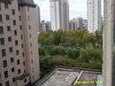 彩族（CAIZU） 數碼相機ccd學(xué)生入門(mén)級校園迷你小巧口袋卡片機高清兒童相機初高中生照相機濾鏡高像素可傳手機 【Z1 白色】6400萬(wàn)像素|前后雙攝 【32G內存卡 約存3000張照片】 曬單實(shí)拍圖