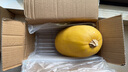 佳沛（zespri）新西蘭  陽光金奇異果巨大果22粒原箱 單果重約144-175g 獼猴桃 曬單實拍圖
