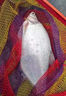 鯽魚(yú)餌料野釣專(zhuān)用主攻鯽魚(yú)大板鯽濃腥釣魚(yú)餌料黑坑四季通殺誘食劑 1袋【體驗裝】 曬單實(shí)拍圖