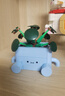樂(lè )高（LEGO）積木 花植系列 永生花 創(chuàng  )意diy拼裝玩具 男孩女孩生日禮物 10349 快樂(lè )盆栽 曬單實(shí)拍圖