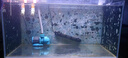 創(chuàng)寧魚缸變頻底吸潛水泵假山魚池安靜過濾水陸兩用低水位魚糞循環(huán)抽水 底吸款【輕音25W】流量2200-3500L 曬單實(shí)拍圖