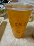 亮動沃尼伯格14度精釀啤酒整箱全麥黑啤精釀白啤酒送禮聚餐自飲整箱 14°P精釀白啤500mL*12 曬單實(shí)拍圖