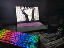 機械革命【國家補貼20%】極光X 酷睿i7HX 游戲本筆記本電腦(i7-13700HX 16G 1T RTX5060 2.5K屏 180Hz 白) 曬單實(shí)拍圖