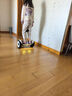 九號（Ninebot）電動平衡車小九米Mini成年人電動車代步腿控智能兩輪大人非燃動版Plus長續(xù)航 曬單實拍圖