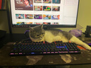 雷蛇（Razer）巴塞利斯蛇V3 X極速版 無(wú)線(xiàn)鼠標 小巴蛇  RGB幻彩燈效 吃雞/LOL/CS GO電競游戲鼠標 曬單實(shí)拍圖