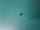 珊珂保濕泡沫潔面膏 男女士清潔保濕控油泡沫潔面乳膏120g 七夕禮物 曬單實(shí)拍圖