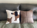 茗芮居沙發(fā)抱枕輕奢高級感可拆洗網(wǎng)紅卡通可愛(ài)簡(jiǎn)約抱枕套兒童房飄窗靠枕 新款深棕色小狗正方45x45cm 枕套+枕芯 曬單實(shí)拍圖