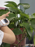 小天才兒童電話手表Z6Pro少年版茶金白防水GPS定位學(xué)生兒童智能手表移動(dòng)聯(lián)通電信4G視頻拍照雙攝男女表 曬單實(shí)拍圖